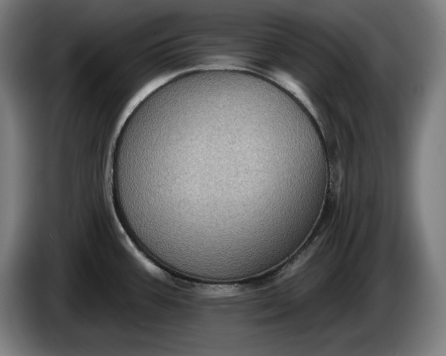 X0000085771387200703301353