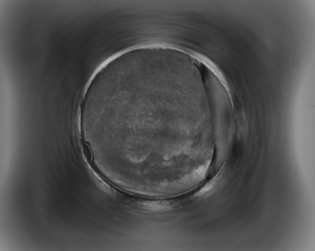 X0000085771388200703301353