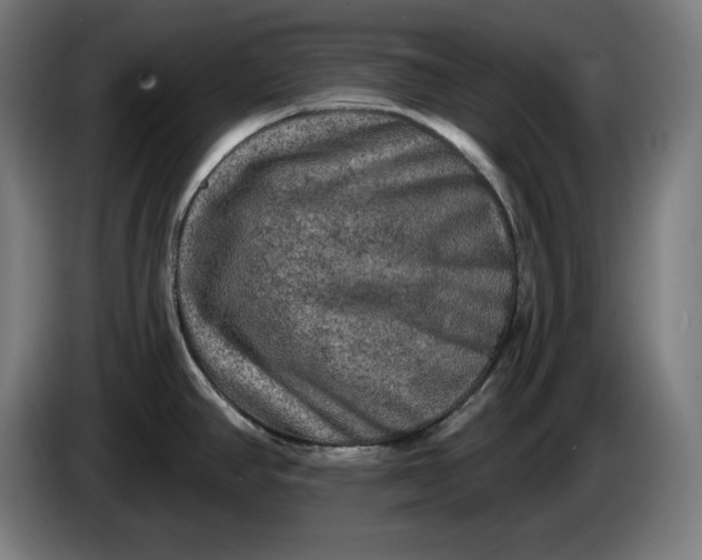 X0000085771390200703301353