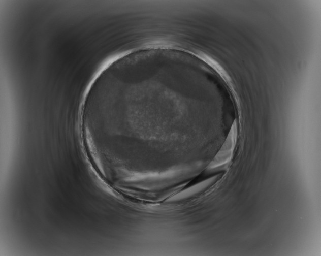 X0000085771392200703301353