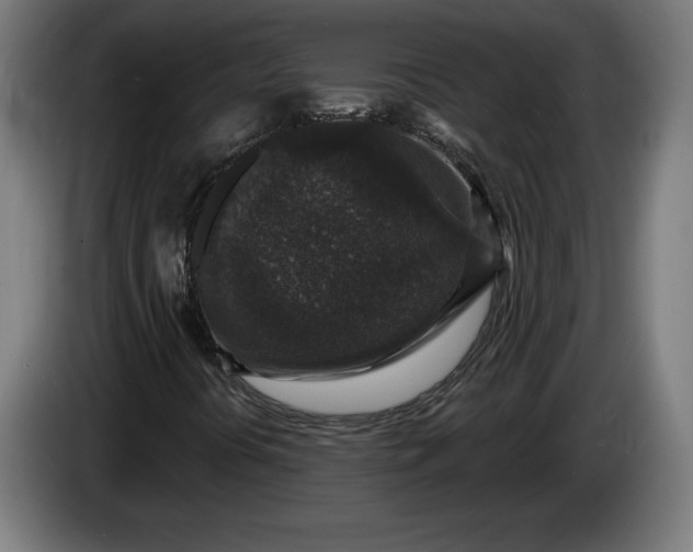 X0000085771394200703301352