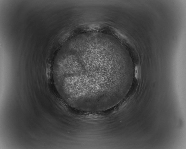 X0000085771395200703301352