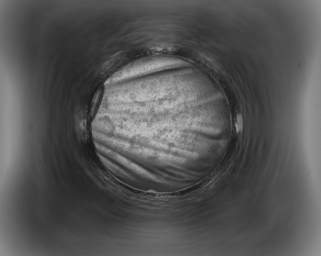 X0000085771396200703301352