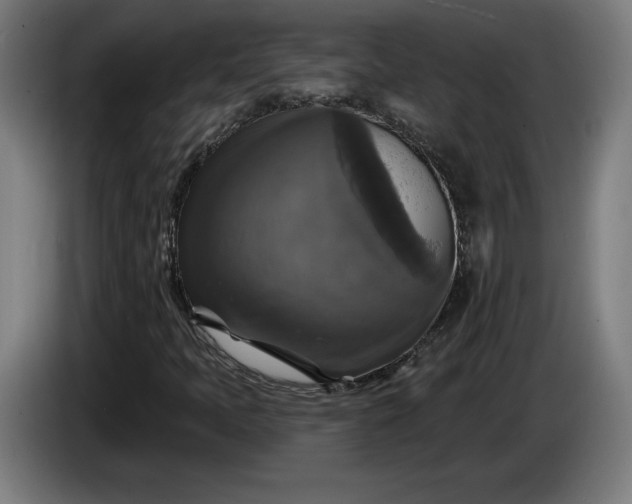 X0000085771397200703301352