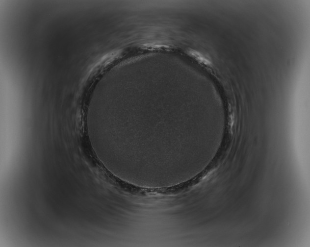 X0000085771398200703301352