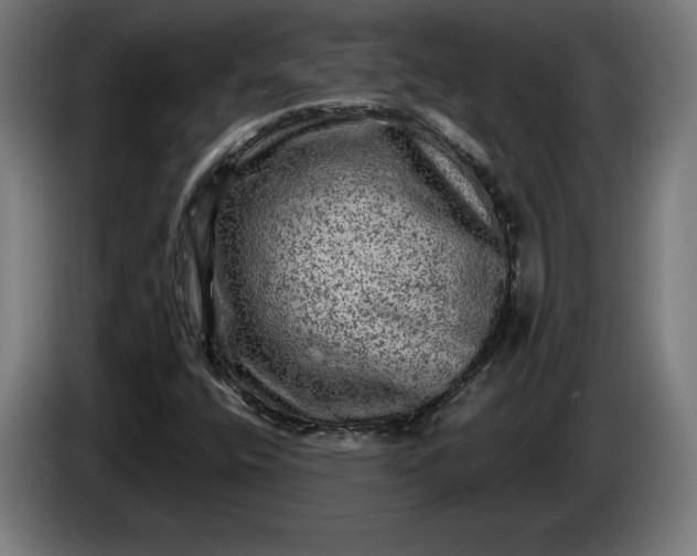 X0000085771400200703301352