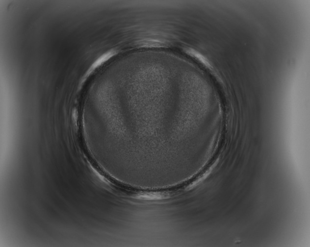 X0000085771402200703301352