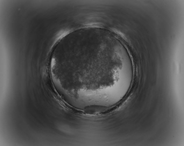 X0000085771405200703301352