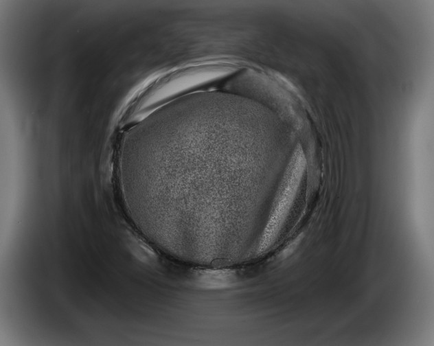 X0000085771406200703301352