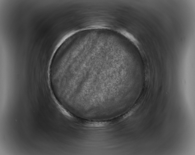 X0000085771423200703301352