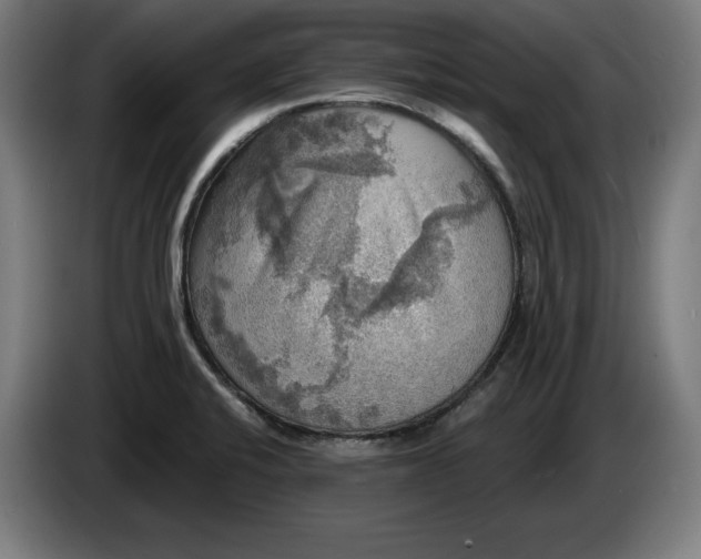 X0000085771424200703301352