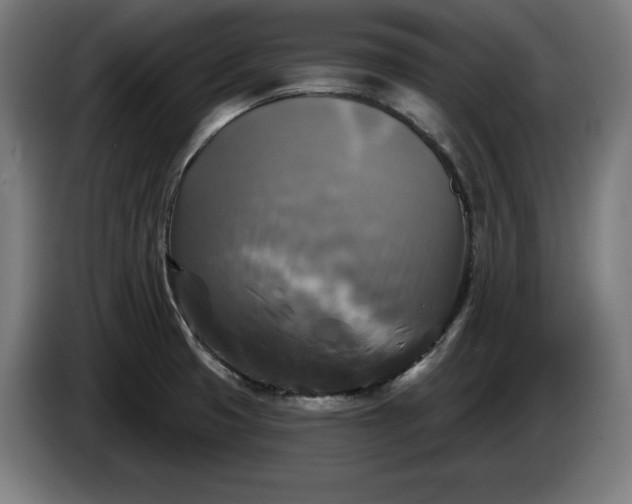 X0000085771425200703301352