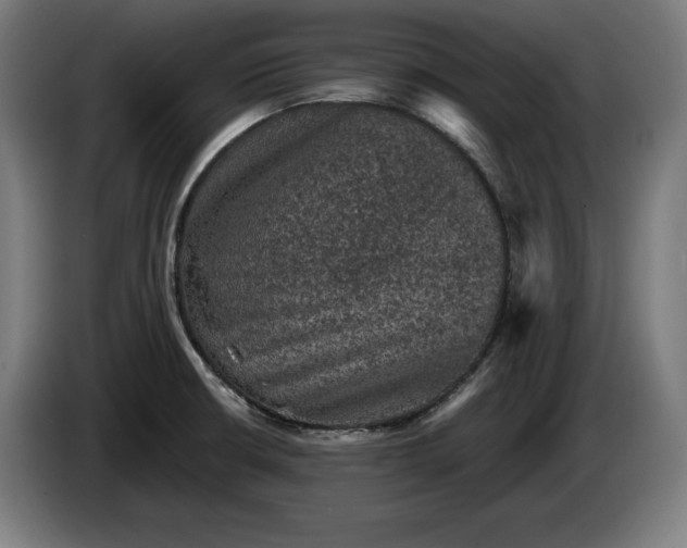 X0000085771426200703301352