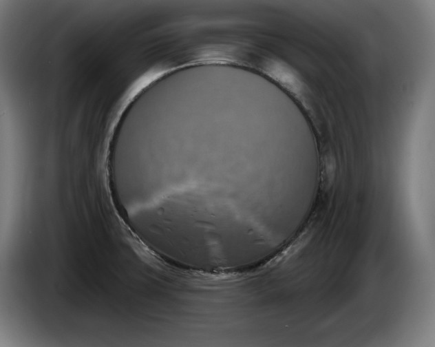 X0000085771427200703301352