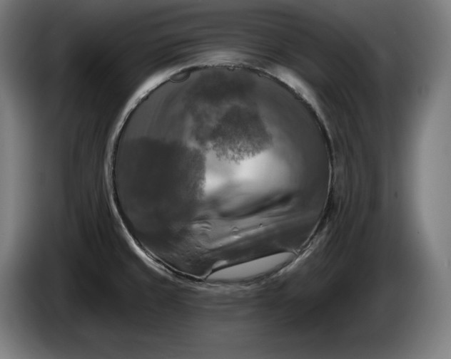 X0000085771429200703301352