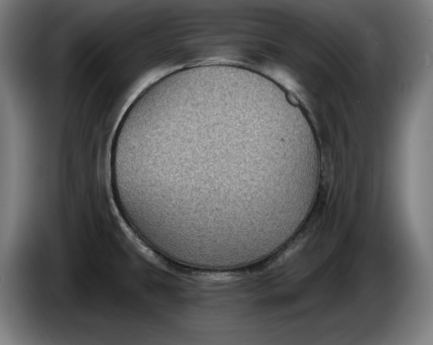 X0000085771431200703301353