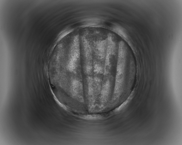 X0000085771433200703301353