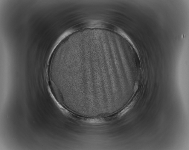 X0000085771434200703301353