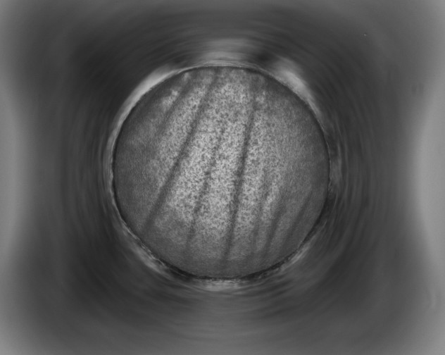 X0000085771435200703301353