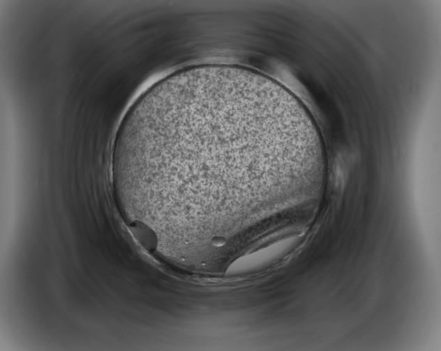 X0000085771436200703301353