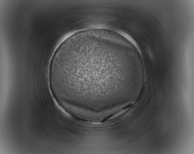 X0000085771439200703301353