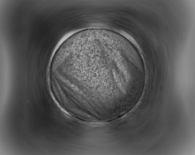 X0000085771440200703301353