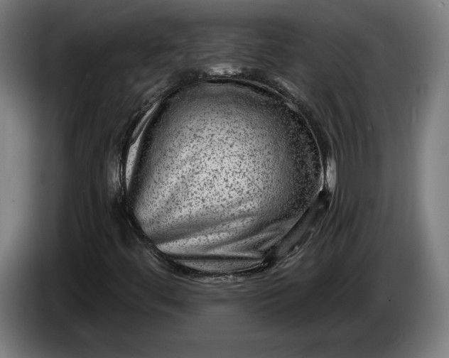 X0000085771444200703301352