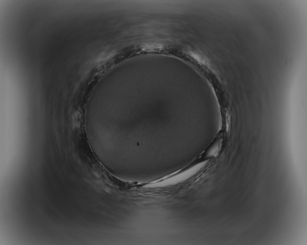 X0000085771445200703301352