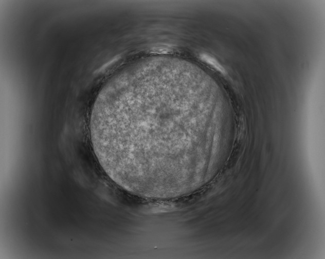 X0000085771446200703301352