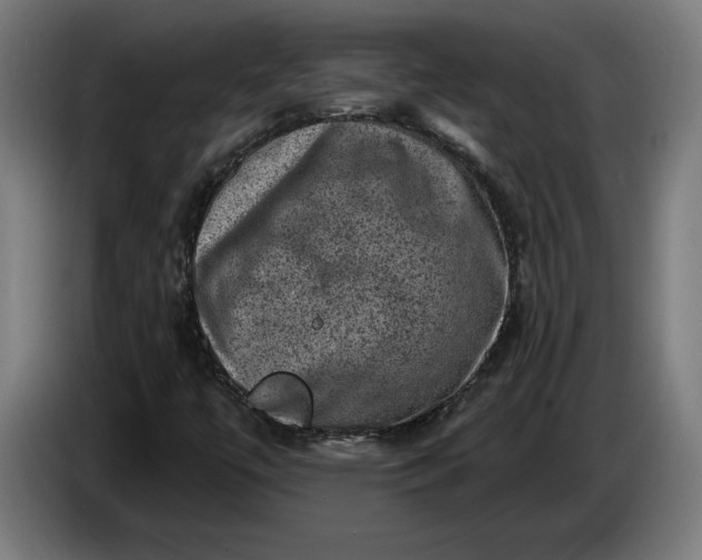 X0000085771447200703301352