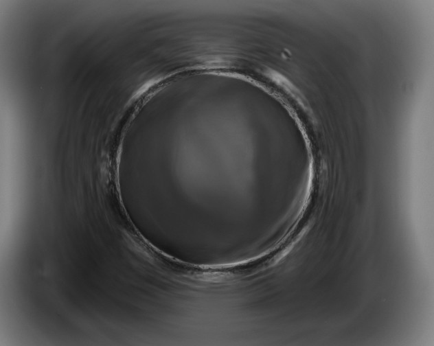 X0000085771449200703301352