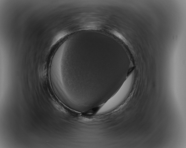 X0000085771450200703301352