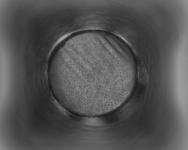 X0000085771452200703301352