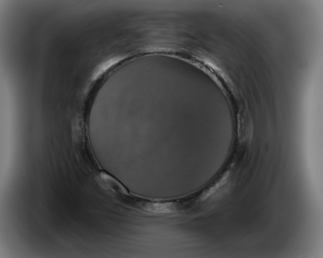 X0000085771453200703301352