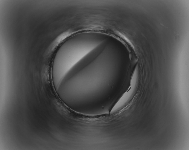 X0000085771455200703301352