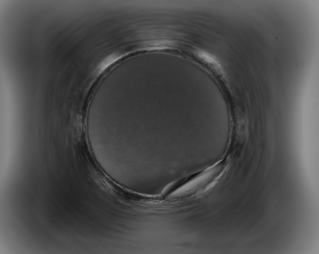 X0000085771457200703301352