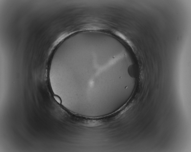 X0000085771459200703301352