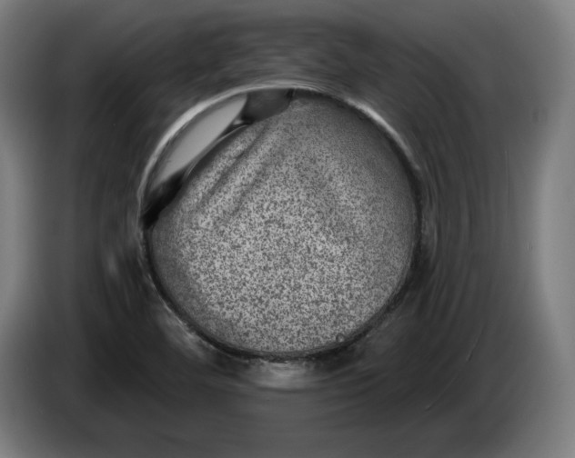 X0000085771460200703301352