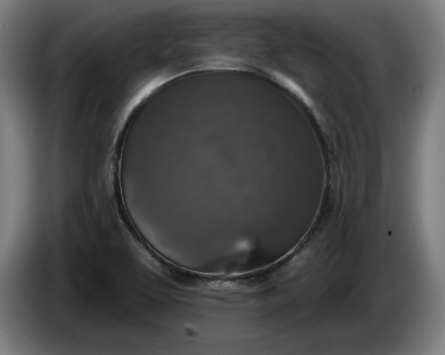 X0000085771463200703301352