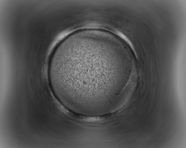 X0000085771464200703301352