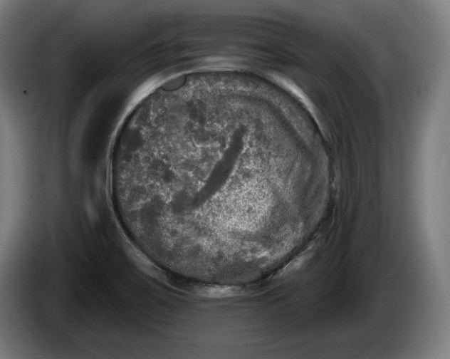 X0000085771467200703301352