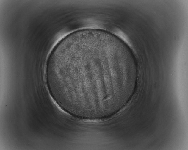 X0000085771468200703301352