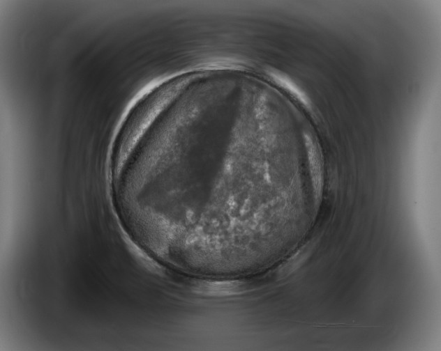 X0000085771471200703301352