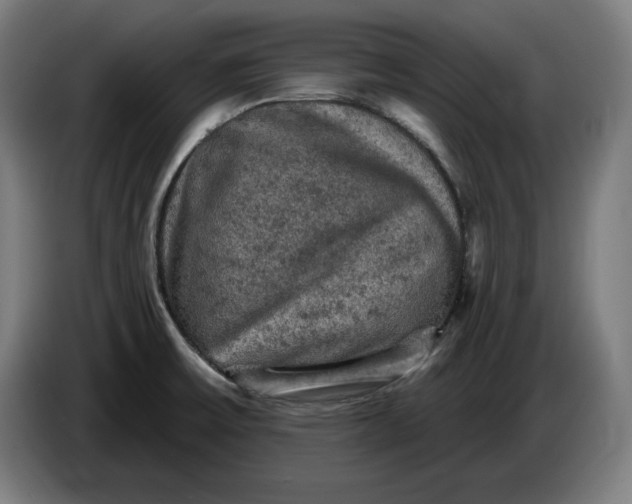 X0000085771475200703301351