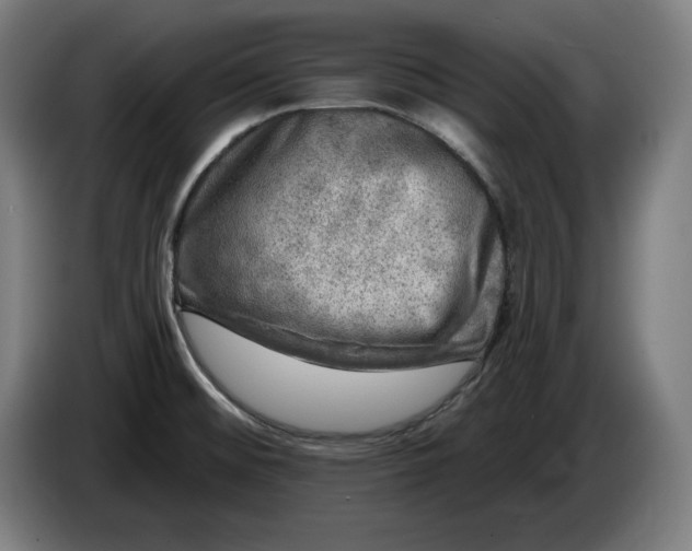 X0000085771476200703301351