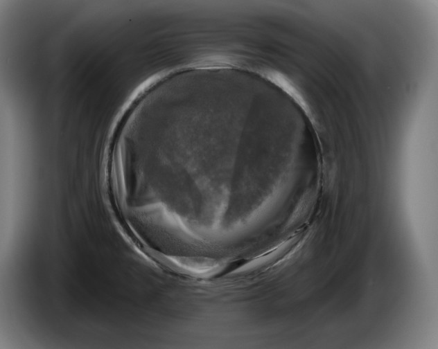 X0000085771477200703301351