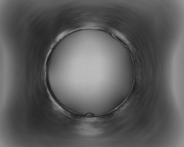 X0000085771479200703301351