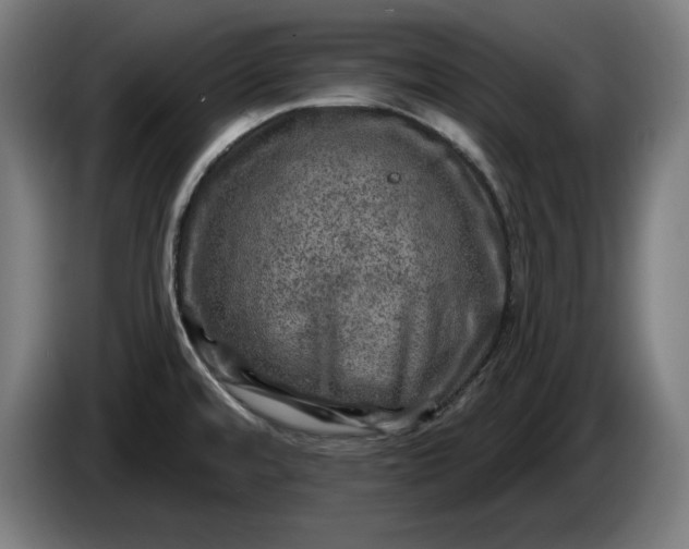 X0000085771480200703301351