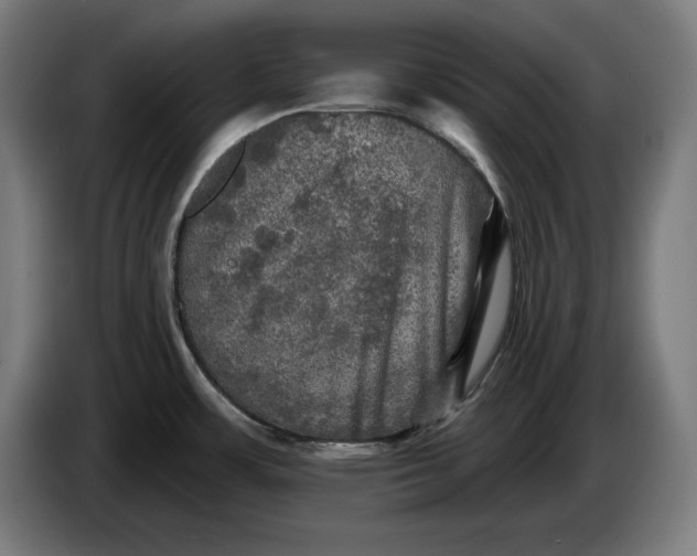 X0000085771483200703301351