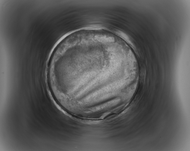 X0000085771484200703301351